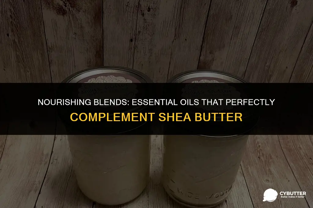 what essential oils are good with shea butter