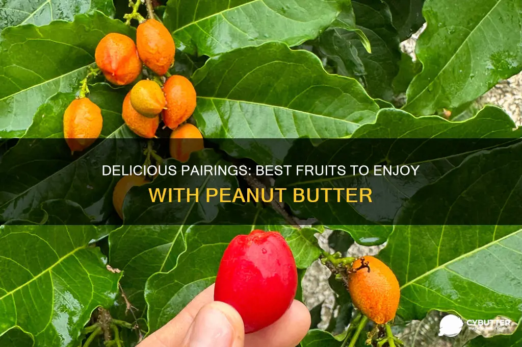 what fruit goes good with peanut butter