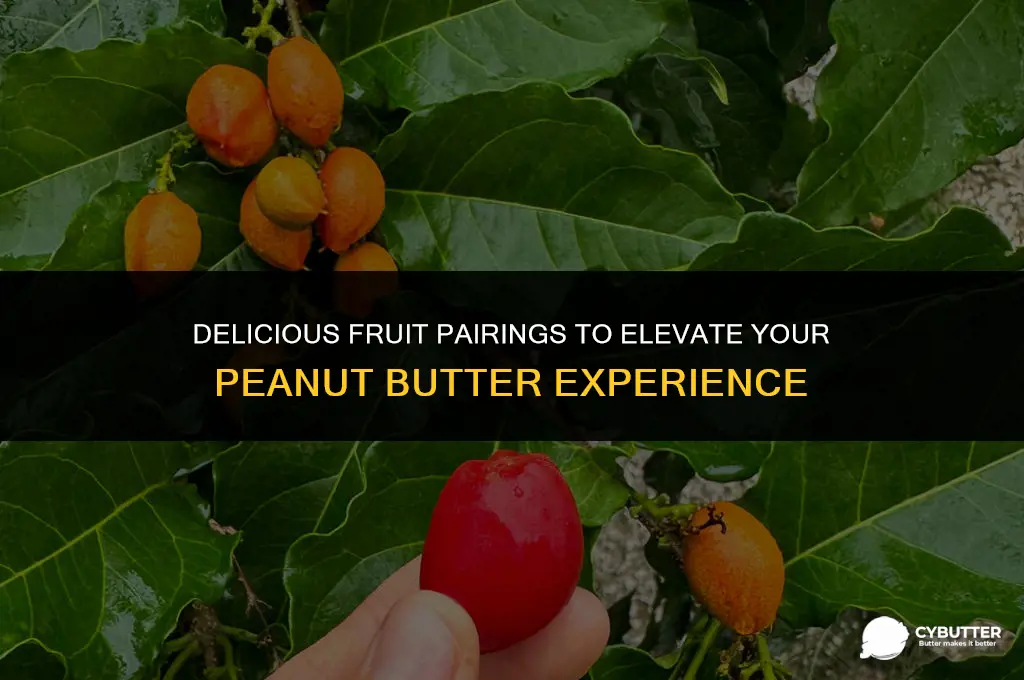 what fruit is good with peanut butter