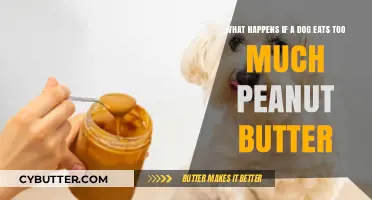 The Surprising Effects of Overfeeding Peanut Butter to Dogs