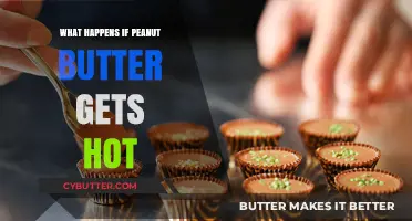Peanut Butter Meltdown: Effects of Heat on Texture and Flavor