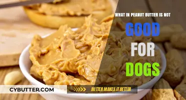 The Hidden Dangers in Peanut Butter for Dogs: What to Avoid