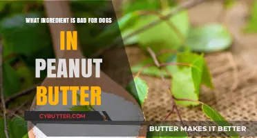 Hidden Danger: The Ingredient in Peanut Butter That's Harmful to Dogs