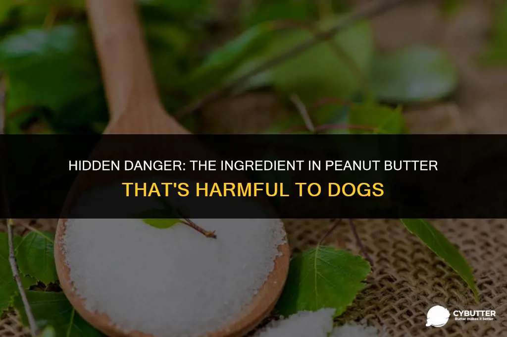 what ingredient is bad for dogs in peanut butter