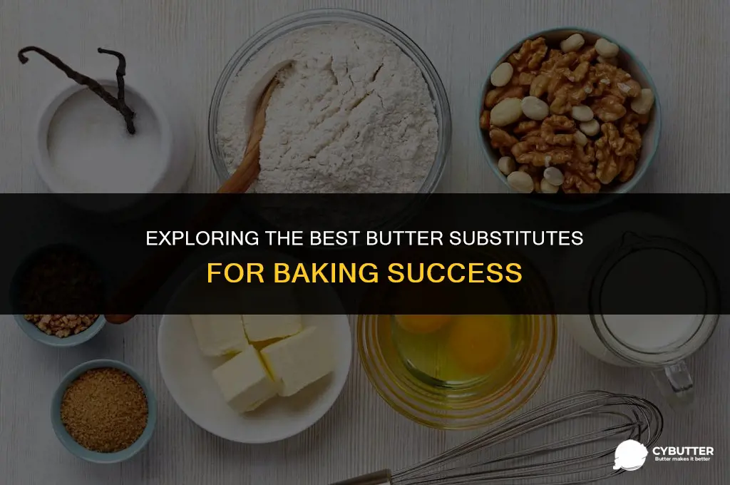 what is a butter substitute for baking