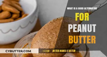 Delicious and Nutritious Alternatives to Peanut Butter