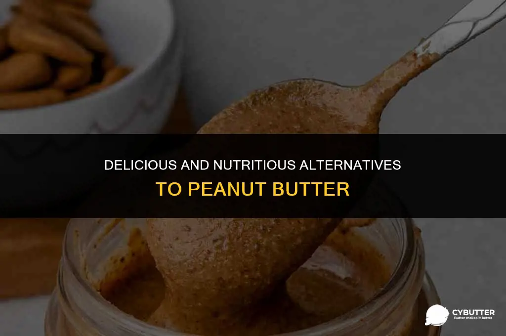 what is a good alternative for peanut butter