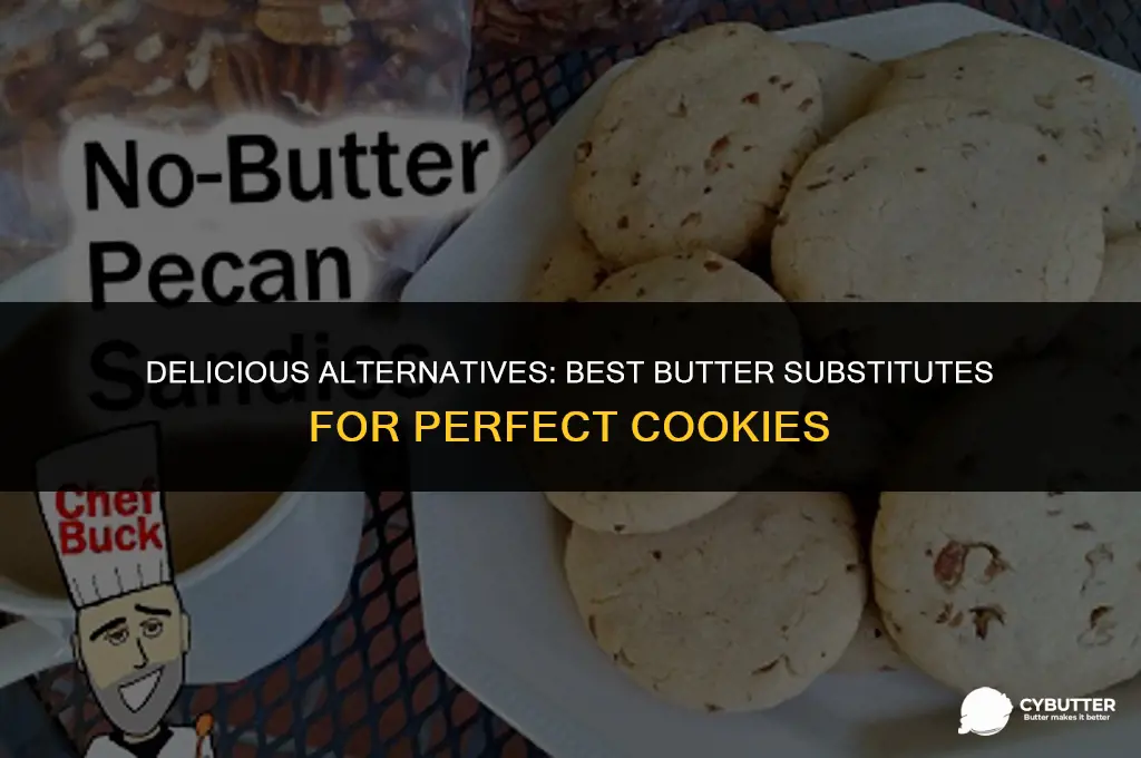 what is a good butter substitute for cookies