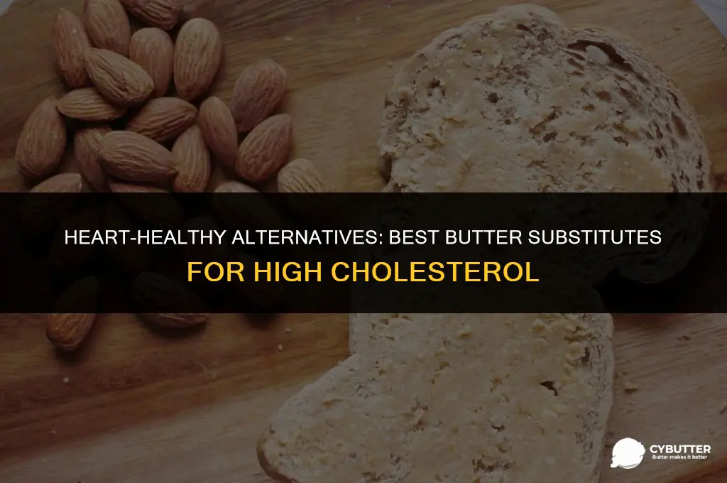 what is a good butter substitute for high cholesterol