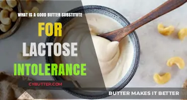 Delicious Dairy-Free: Best Butter Substitutes for Lactose Intolerance