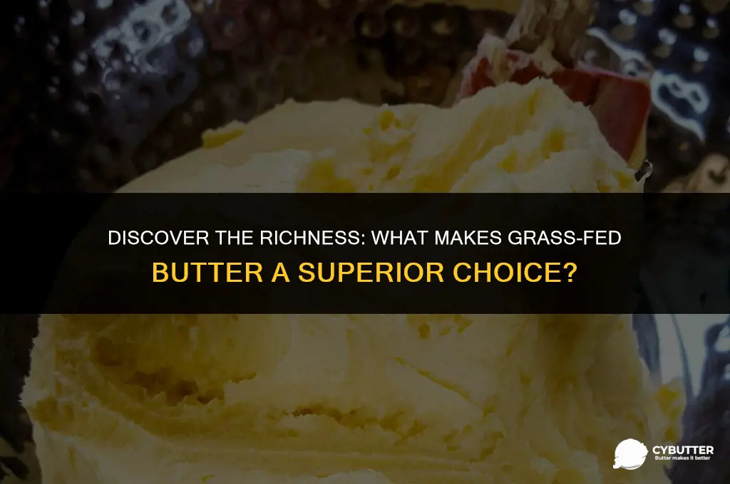 what is a good grass fed butter