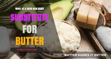 Delicious Dairy-Free Alternatives: Best Non-Dairy Substitutes for Butter