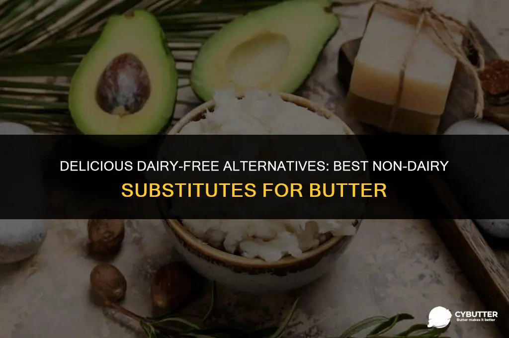 what is a good non dairy substitute for butter