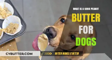 Top Picks: Healthy and Safe Peanut Butter Options for Dogs