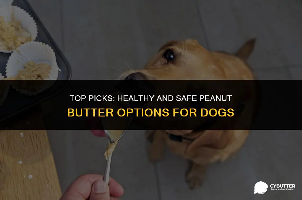 what is a good peanut butter for dogs