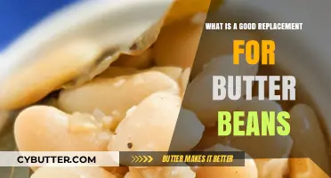 Delicious Alternatives: What to Use Instead of Butter Beans