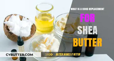 Discover the Best Shea Butter Alternatives for Your Skin