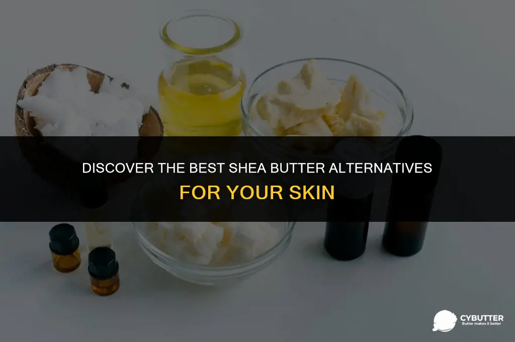 what is a good replacement for shea butter