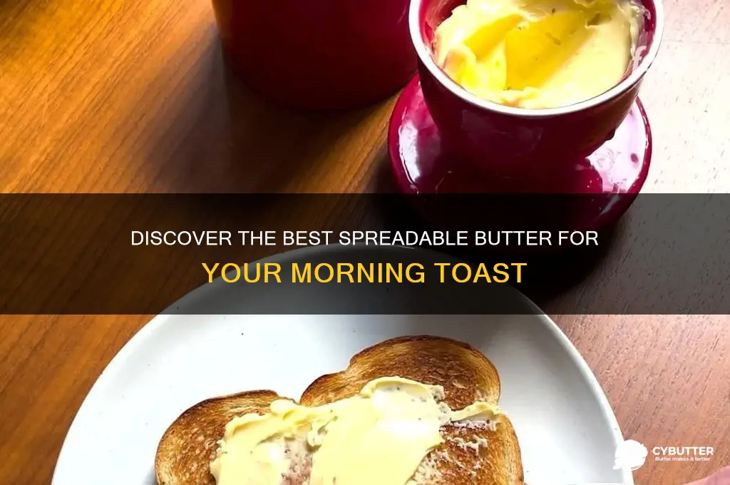 what is a good spreadable butter