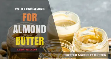 Delicious Alternatives: What to Use Instead of Almond Butter