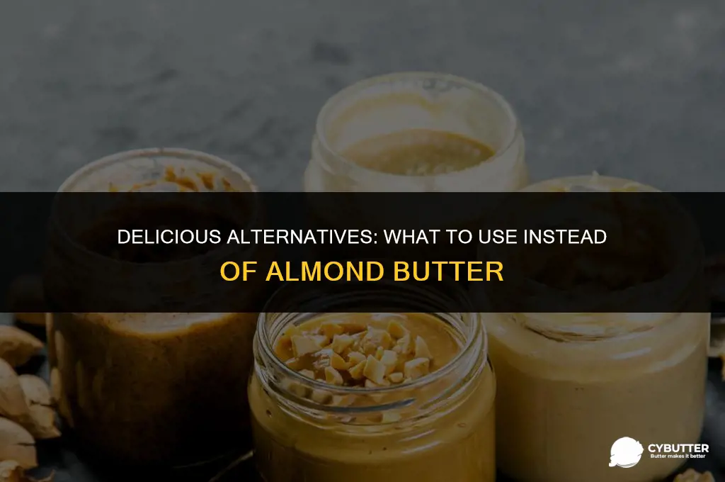 what is a good substitute for almond butter