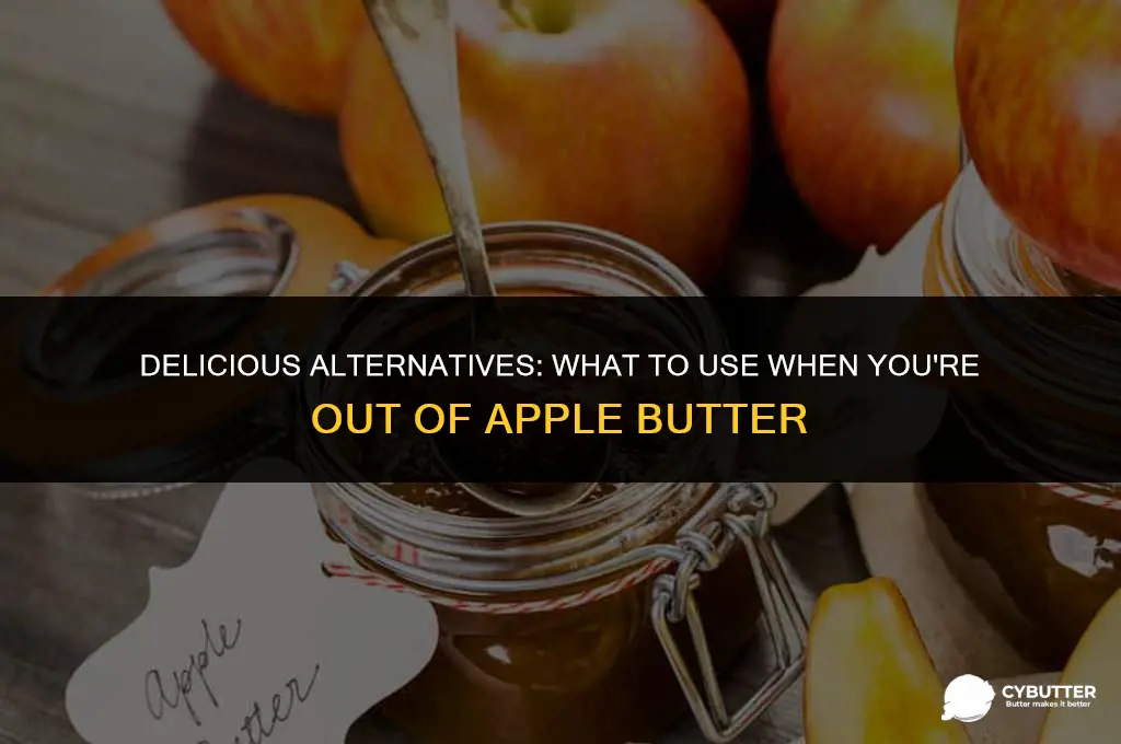 what is a good substitute for apple butter