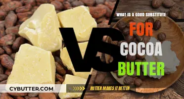 Discover the Best Cocoa Butter Alternatives for Your Skin Care Routine