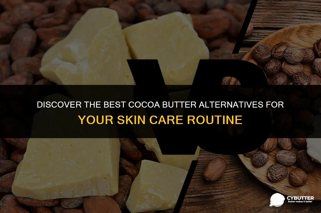 what is a good substitute for cocoa butter