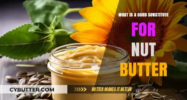 Delicious Alternatives: What to Use When Nut Butter's Not an Option