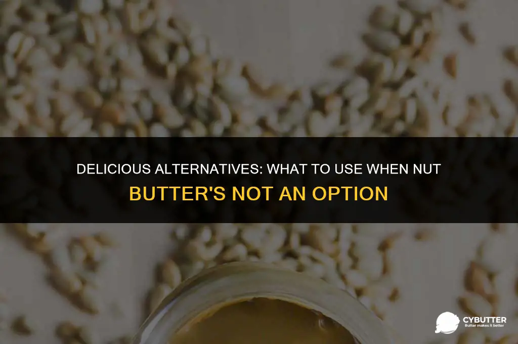 what is a good substitute for nut butter