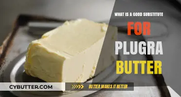 Delicious Dairy-Free Alternatives: Best Substitutes for Plugra Butter