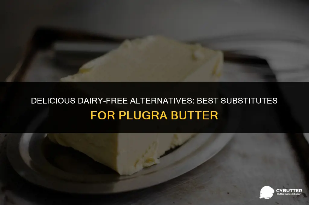 what is a good substitute for plugra butter
