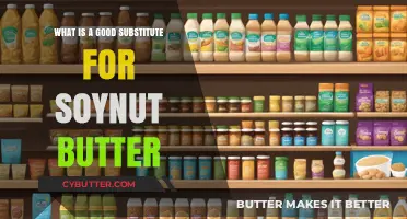 Delicious Alternatives: What to Use Instead of Soy Nut Butter