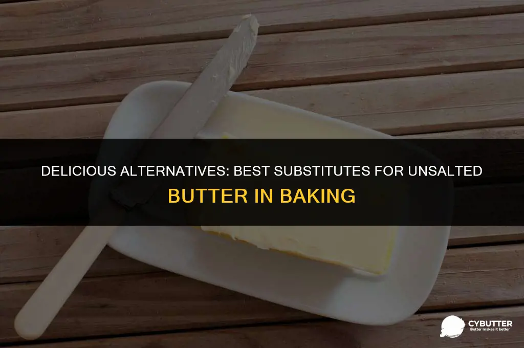 what is a good substitute for unsalted butter