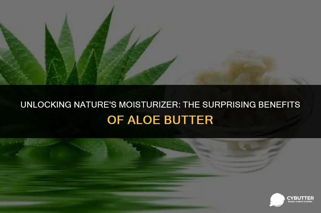 what is aloe butter good for