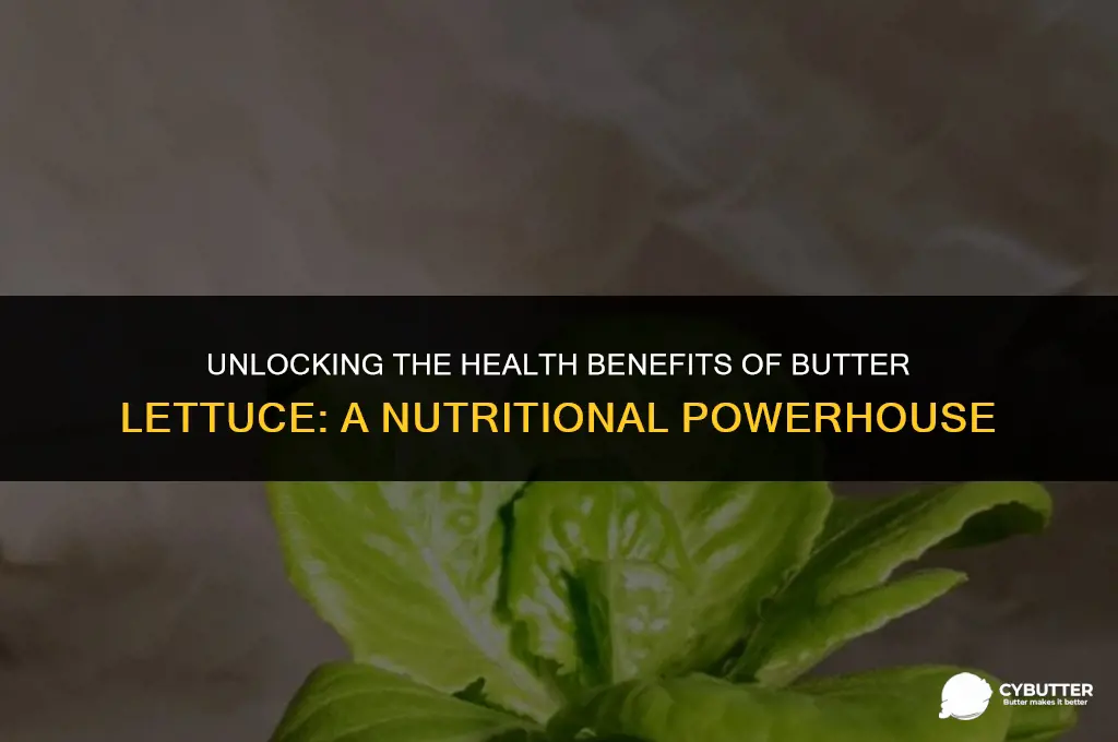 what is butter lettuce good for