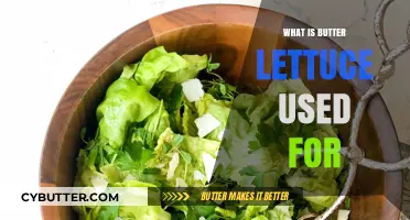 Exploring the Versatility of Butter Lettuce in Culinary Delights