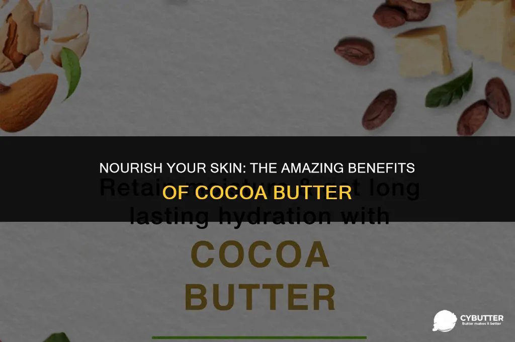 what is cocoa butter good for skin