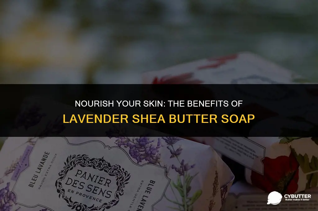 what is lavender shea butter soap good for