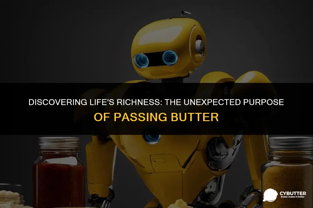 what is my purpose you pass butter
