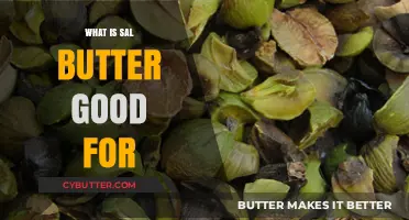 Nature's Golden Elixir: Unveiling the Health Benefits of Sal Butter
