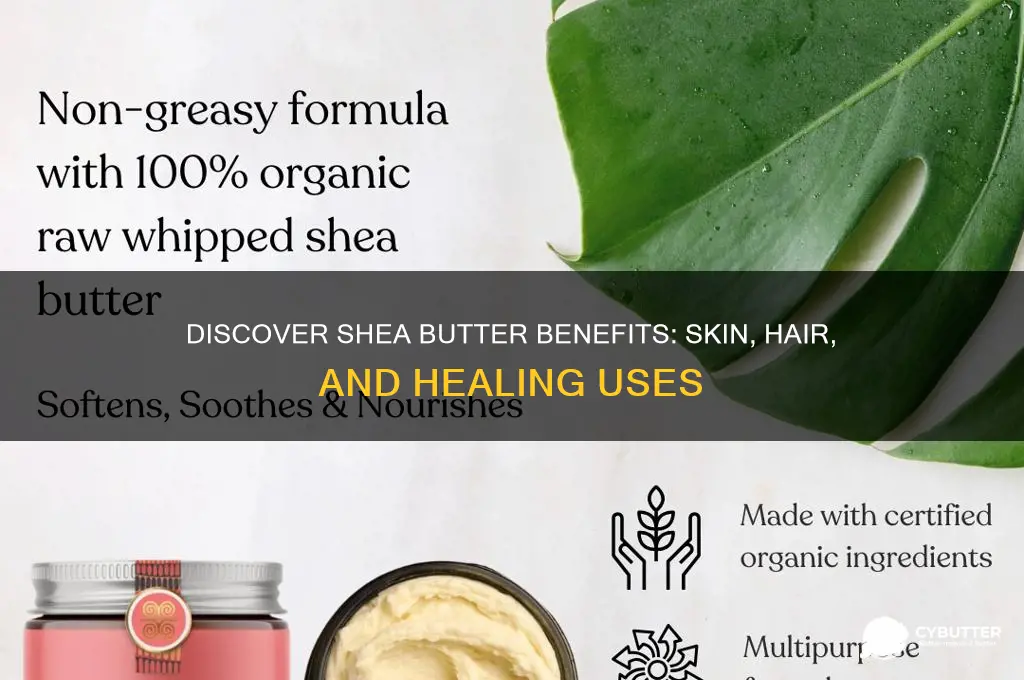 what is shea butter good for