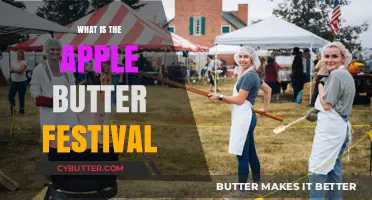 Exploring the Sweet Traditions of the Apple Butter Festival