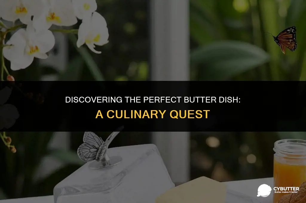 what is the best butter dish