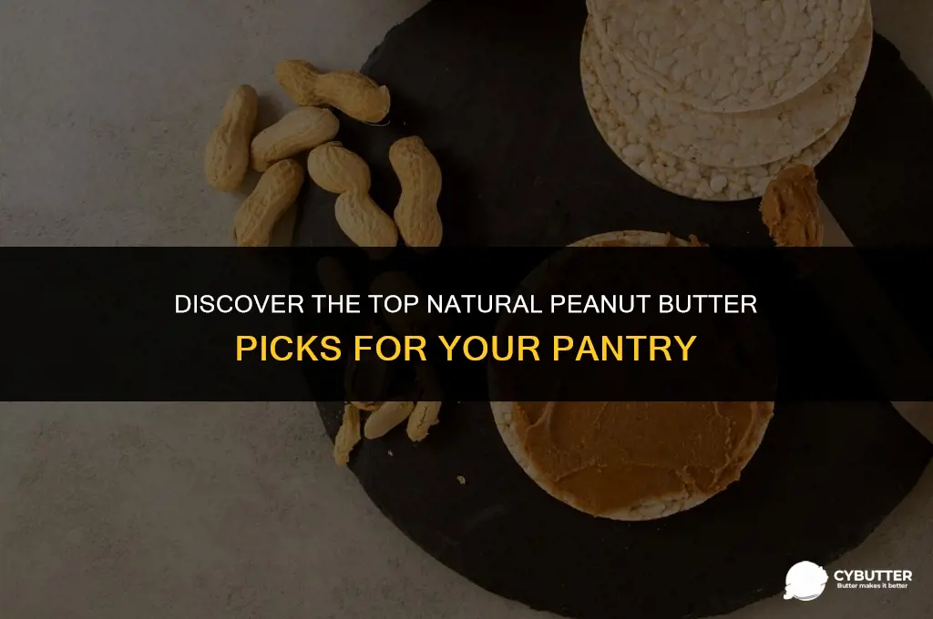 what is the best natural peanut butter to buy