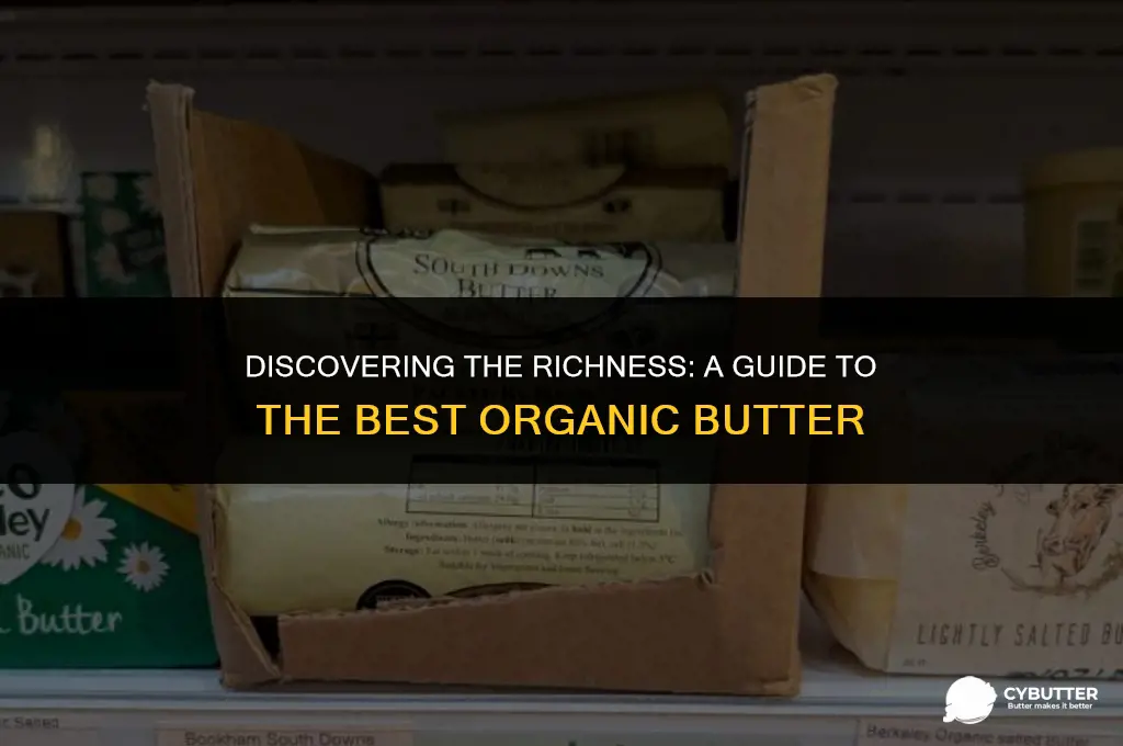 what is the best organic butter
