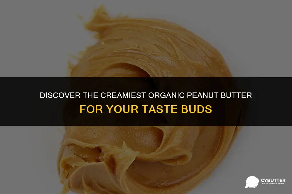 what is the best organic peanut butter
