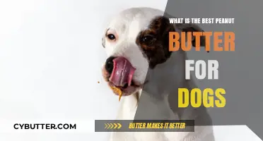 Top Picks: The Best Peanut Butter for Your Canine Companion