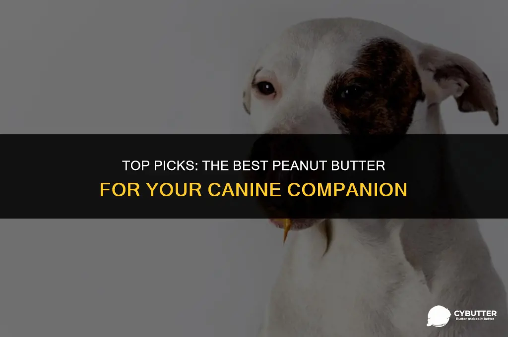 what is the best peanut butter for dogs