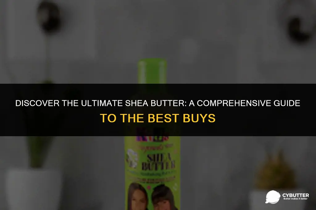 what is the best shea butter to buy